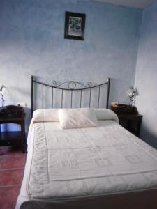 Un pat sau paturi într-o cameră la Hostal El Olmo