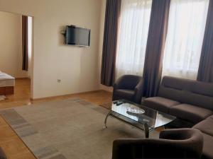 Televízia a/alebo spoločenská miestnosť v ubytovaní Hotel Sofiivka