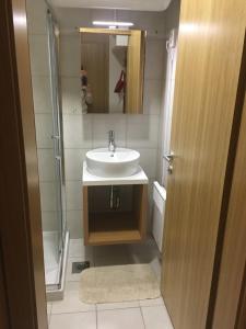 Koupelna v ubytování Apartma Rogla - Gaber 98