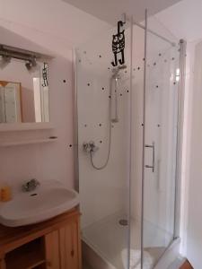 a bathroom with a shower and a sink at Steepleview House, Renchtalblick Apartment - cozy & serene apartment for 2 in Bad Peterstal-Griesbach