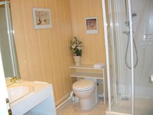 a bathroom with a toilet and a shower and a sink at Hotel du Mont Blanc in Sallanches