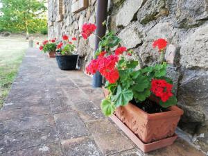 A garden outside Agriturismo Il Morello