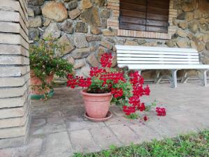 a white bench and red flowers in front of a stone wall at Agriturismo Il Morello in Acquapendente