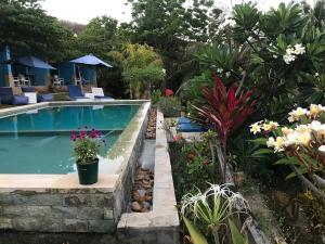 Bazén v ubytování Blue Monkey Retreat Areguling Lombok nebo v jeho okolí