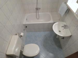 Koupelna v ubytování Apartment Robo