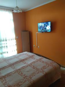 1 dormitorio con 1 cama y TV en la pared en Apartment Branicevska 1 en Požarevac