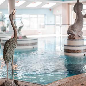two statues of birds standing in a swimming pool at Westlodge Hotel & Leisure Centre in Bantry