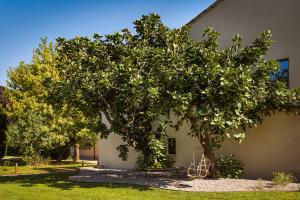 un grande albero di fronte a un edificio di Case Zucchi Bioagriturismo a Castelnuovo Fogliani