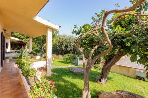 a garden with a tree and a house at Centro Residenziale Le Canne in San Teodoro