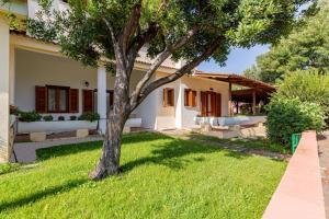 a house with a green lawn and a tree at Centro Residenziale Le Canne in San Teodoro