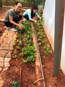 Zahrada ubytování Summer Stations Homestay Binh Chau - Ho Coc Beach - Vung Tau