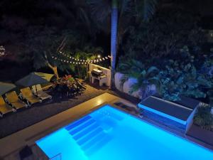 an overhead view of a swimming pool at night at Villa Victoria in Sosúa