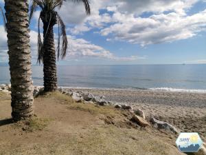 einen Strand mit zwei Palmen und dem Meer in der Unterkunft Sunny Torremolinos Centro in Torremolinos