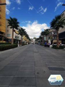 an empty street with palm trees and a sign on it at Sunny Torremolinos Centro in Torremolinos
