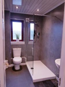 a bathroom with a toilet and a shower and a sink at Levenhowe Holiday Apartment in Balloch