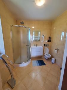 y baño con ducha, aseo y lavamanos. en Apartament Morskie Oko, en Kościelisko