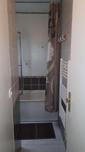 uma casa de banho com um chuveiro com uma banheira e uma cortina de chuveiro em Hameau des Thermes - appartement rez de chaussée em Saint-Lary-Soulan