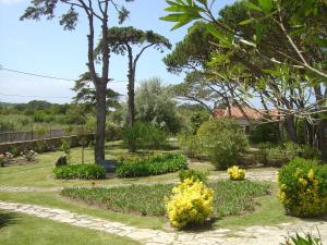 Gallery image of Solar Do Magoito in Sintra