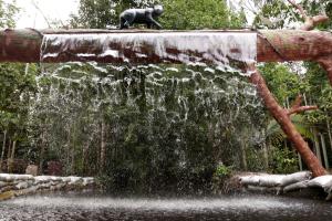 Ảnh trong thư viện ảnh của Cirandeira Amazon World EcoResort ở Manacapuru