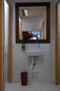y baño con lavabo y espejo. en Hostel Calábria na Vila Madalena junto a alegria da Vila en São Paulo