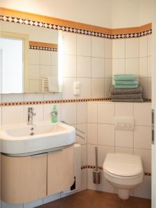 a bathroom with a sink and a toilet at Reiterhof und Pension Eichenhof in Haiger +9 photos