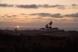 a sunset over a beach with a tree and the ocean at PenichePraia - Bungalows, Campers & SPA in Peniche