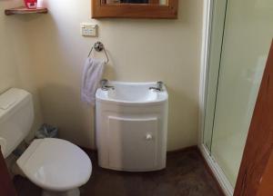 A bathroom at Snow Denn Lodge