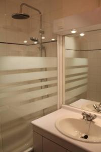 bagno con lavandino e doccia di Studio Santa Monica - Climatisé - Piscine - Parking a Tolosa