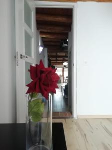 カサジャ・デ・ラ・シエラにあるLa Loberaのテーブルに座る赤い花瓶