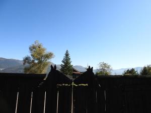 a fence in front of a house with mountains in the background at Il Vecchio Olmo in Gagliano Aterno