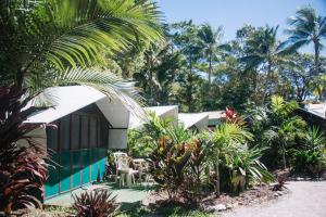 a house with a palm tree in front of it at Dougies Backpackers Resort in Port Douglas