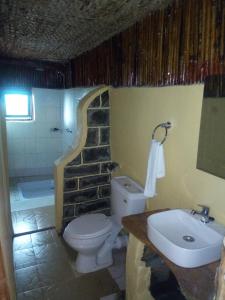 un bagno con un water e un lavandino di Sipi Coffee Lodge a Kapchorwa