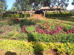 Giardino di Sipi Coffee Lodge
