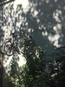 在Un Autre Monde内部或周边骑自行车