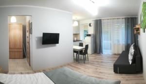 Μια τηλεόραση ή/και κέντρο ψυχαγωγίας στο Apartamenty Love