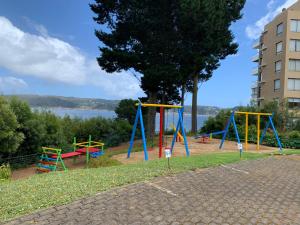 a playground with colorful swings and a tree at Departamento Esmeralda Pingueral in Dichato