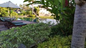 Ein Garten an der Unterkunft Darra Ria Villa Ubud