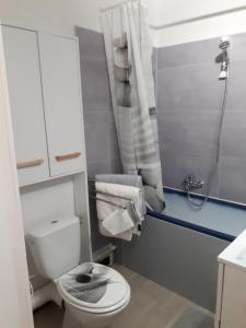 La petite salle de bains est pourvue d'une douche et de toilettes. dans l'établissement le petit dieppois, à Dieppe