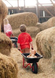 a young boy pushing a wheelbarrow with a dummy in it at Ferienhof Hedwigsruh in Stadum