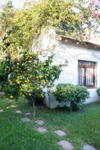 uma laranjeira em frente a uma casa em Susana Just Boutique Hotel em Vicente López