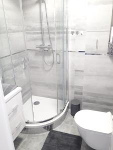 Kúpeľňa v ubytovaní Apartament Bora Stronie Śląskie