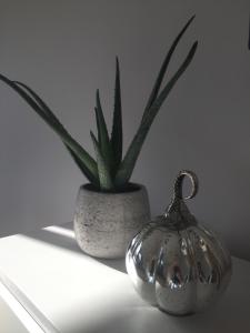 Fotografia z galérie ubytovania Apartament Bora Stronie Śląskie v destinácii Stronie Śląskie