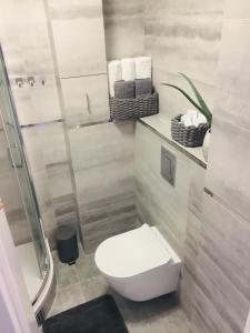 Kúpeľňa v ubytovaní Apartament Bora Stronie Śląskie