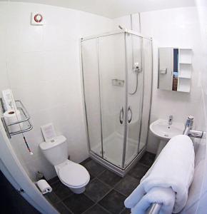 a bathroom with a shower and a toilet and a sink at Glyn Peris Guest House in Llanberis