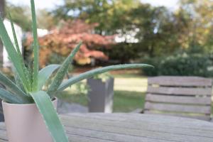 Giardino di Parkhotel Styria