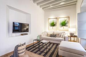 a living room with a couch and a tv at Genteel Home Pajaritos in Seville