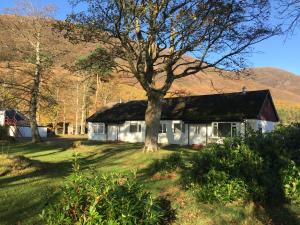 een wit huis met een boom in de tuin bij The Bunkhouse in Applecross