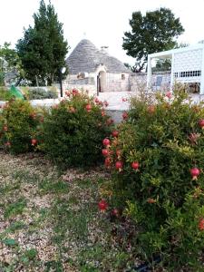 A garden outside Trullo Monte Del Sale