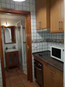 桑特霍安達拉坎特的住宿－Estudio en el centro de San Juan de Alicante，厨房配有水槽和微波炉