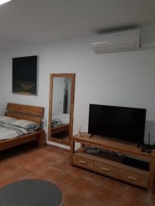 a living room with a flat screen tv and a mirror at Estudio en el centro de San Juan de Alicante in San Juan de Alicante